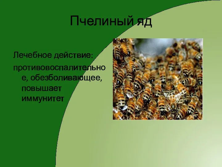 Пчелиный яд Лечебное действие: противовоспалительное, обезболивающее, повышает иммунитет