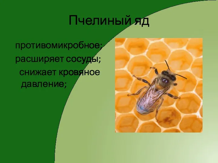 Пчелиный яд противомикробное; расширяет сосуды; снижает кровяное давление;