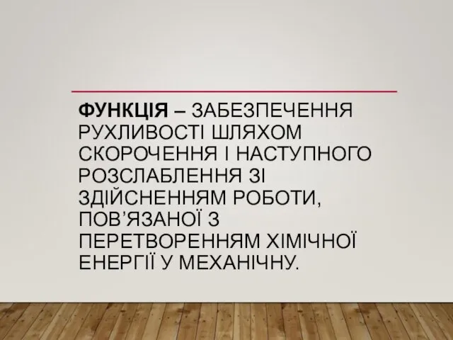 ФУНКЦІЯ – ЗАБЕЗПЕЧЕННЯ РУХЛИВОСТІ ШЛЯХОМ СКОРОЧЕННЯ І НАСТУПНОГО РОЗСЛАБЛЕННЯ ЗІ