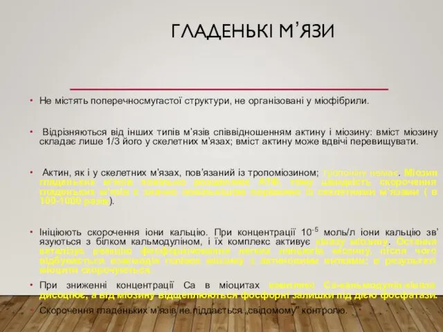 ГЛАДЕНЬКІ М’ЯЗИ Не містять поперечносмугастої структури, не організовані у міофібрили.