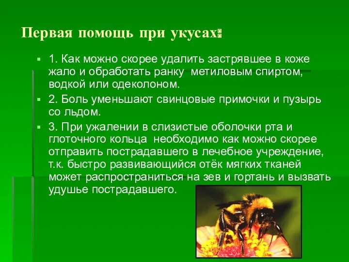 Первая помощь при укусах: 1. Как можно скорее удалить застрявшее в коже жало