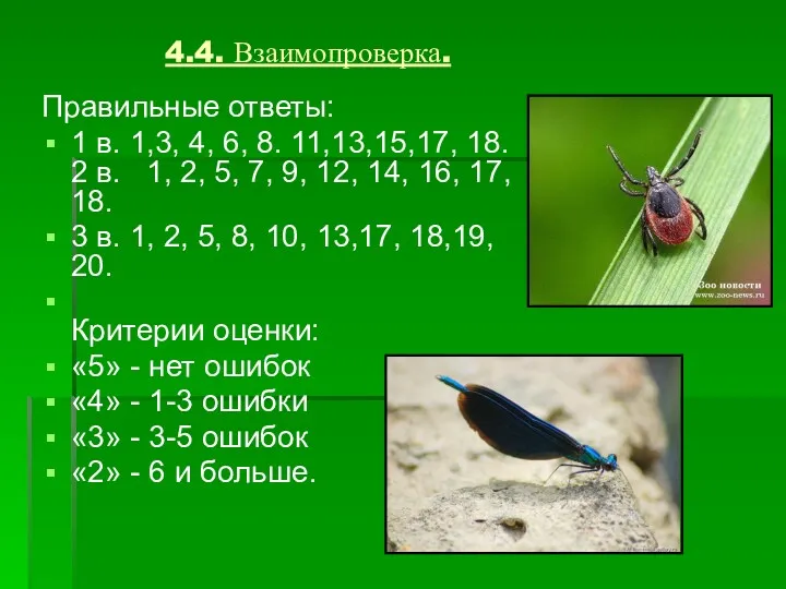 4.4. Взаимопроверка. Правильные ответы: 1 в. 1,3, 4, 6, 8. 11,13,15,17, 18. 2