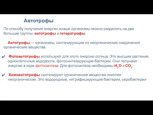 Автотрофы По способу получения энергии живые организмы можно разделить на