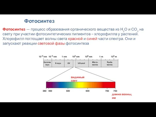 Фотосинтез Фотосинтез — процесс образования органического вещества из Н2О и