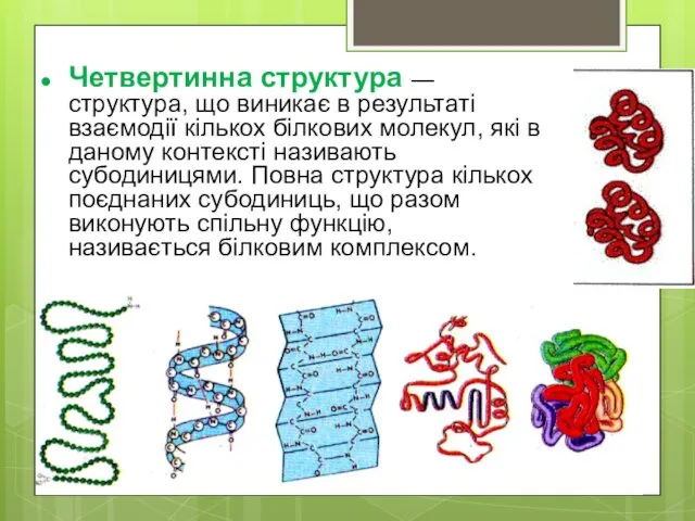 Четвертинна структура — структура, що виникає в результаті взаємодії кількох