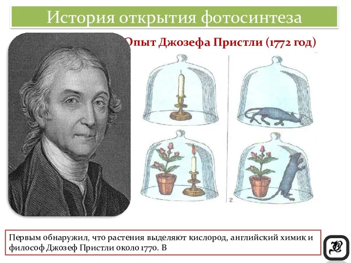 История открытия фотосинтеза Опыт Джозефа Пристли (1772 год) Первым обнаружил,