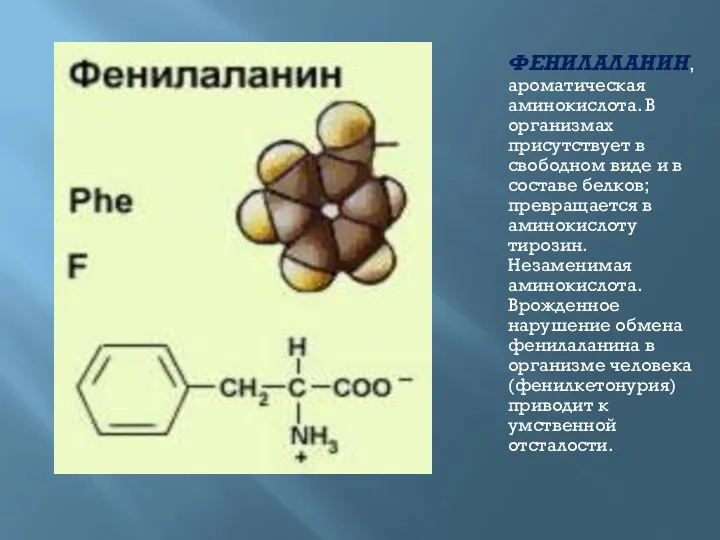 ФЕНИЛАЛАНИН, ароматическая аминокислота. В организмах присутствует в свободном виде и