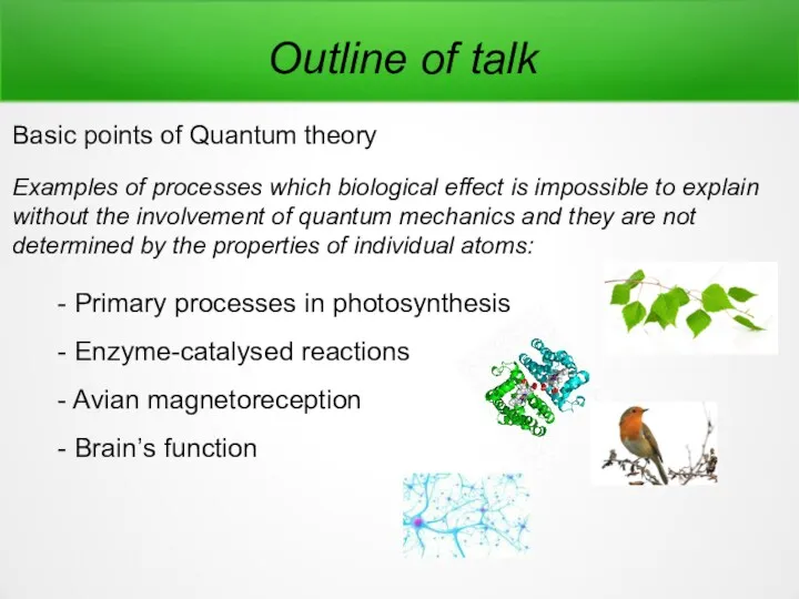 Outline of talk Basic points of Quantum theory Examples of