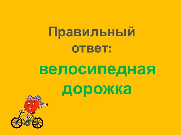 Правильный ответ: велосипедная дорожка