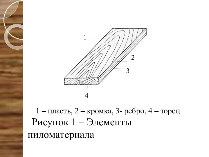 1 – пласть, 2 – кромка, 3- ребро, 4 –