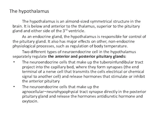 The hypothalamus The hypothalamus is an almond-sized symmetrical structure in