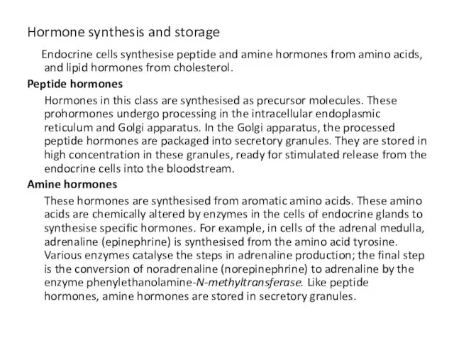 Hormone synthesis and storage Endocrine cells synthesise peptide and amine