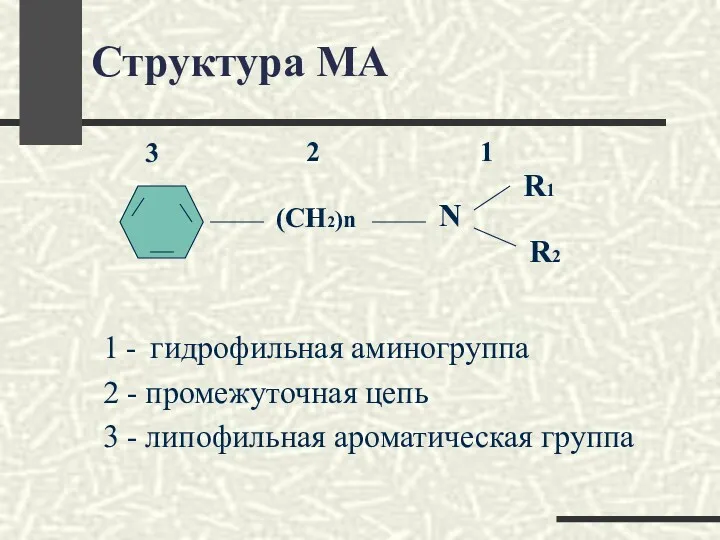 Структура МА 1 - гидрофильная аминогруппа 2 - промежуточная цепь