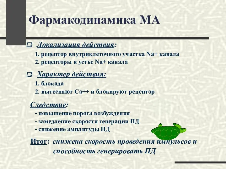 Фармакодинамика МА Локализация действия: 1. рецептор внутриклеточного участка Nа+ канала