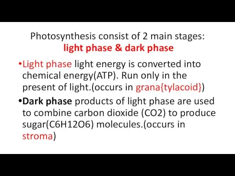Photosynthesis consist of 2 main stages: light phase & dark