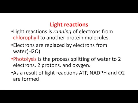 Light reactions Light reactions is running of electrons from chlorophyll