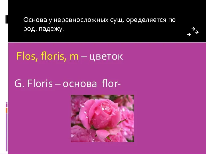 Основа у неравносложных сущ. оределяется по род. падежу. Flos, floris,