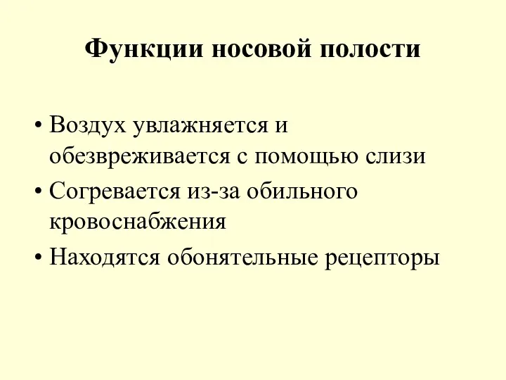 Функции носовой полости Воздух увлажняется и обезвреживается с помощью слизи