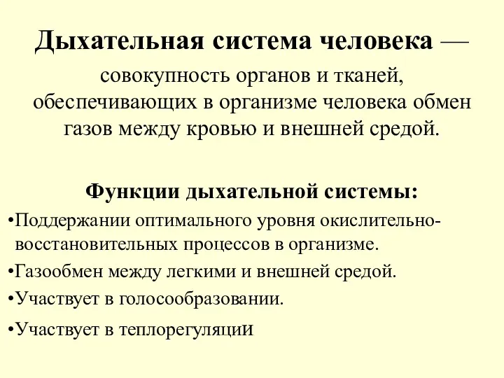 Дыхательная система человека — совокупность органов и тканей, обеспечивающих в