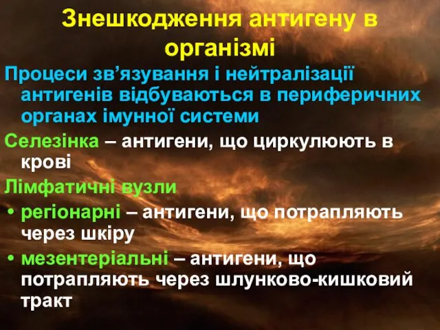 Знешкодження антигену в організмі Процеси зв’язування і нейтралізації антигенів відбуваються