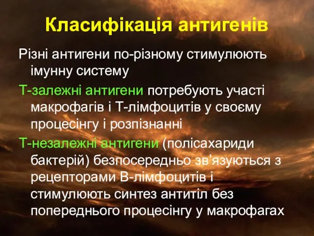 Класифікація антигенів Різні антигени по-різному стимулюють імунну систему Т-залежні антигени