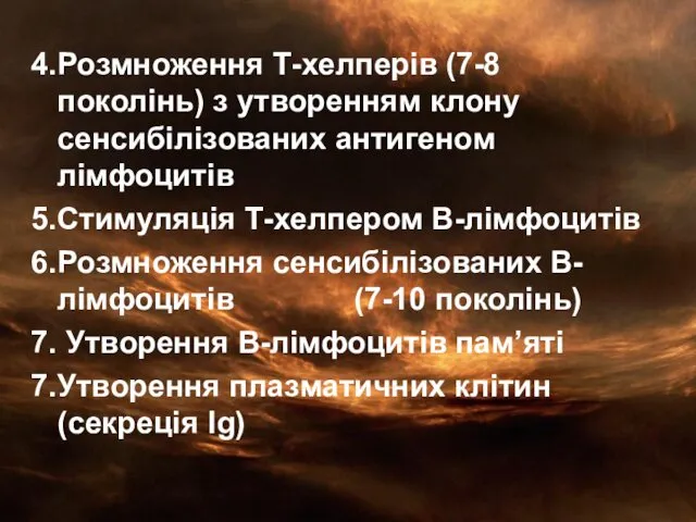 4.Розмноження Т-хелперів (7-8 поколінь) з утворенням клону сенсибілізованих антигеном лімфоцитів