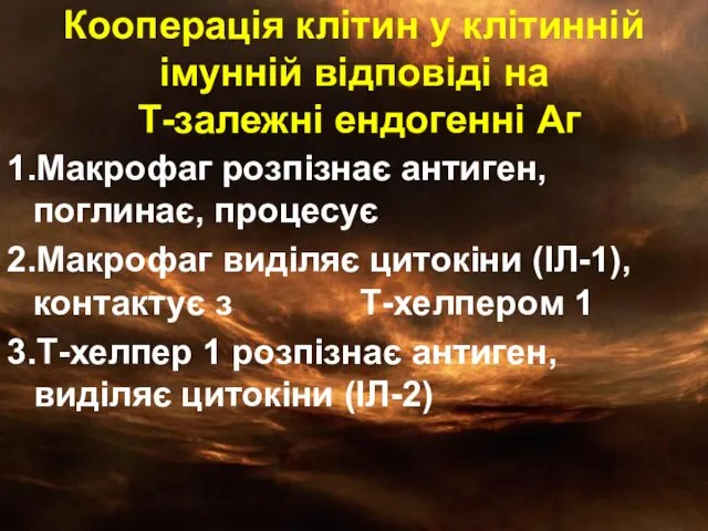 Кооперація клітин у клітинній імунній відповіді на Т-залежні ендогенні Аг