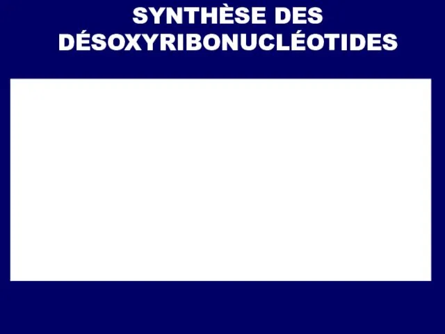 SYNTHÈSE DES DÉSOXYRIBONUCLÉOTIDES