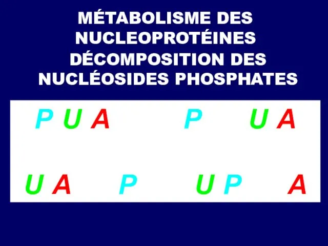 MÉTABOLISME DES NUCLEOPROTÉINES DÉCOMPOSITION DES NUCLÉOSIDES PHOSPHATES P-U-А → P