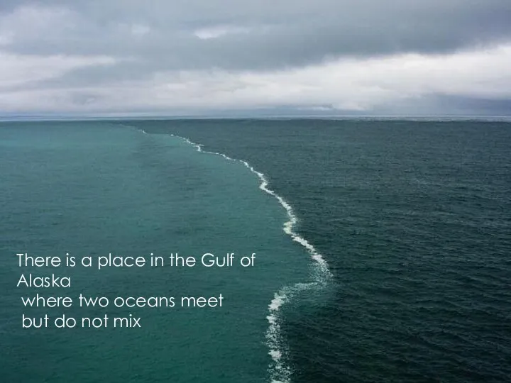 There is a place in the Gulf of Alaska where