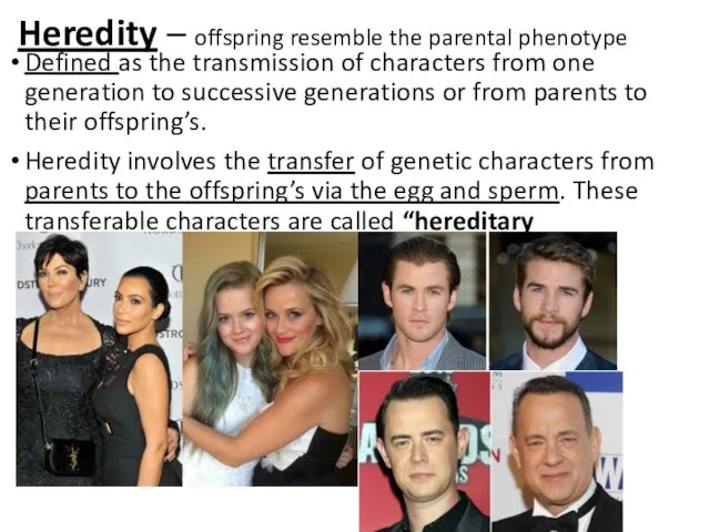 Heredity – offspring resemble the parental phenotype Defined as the