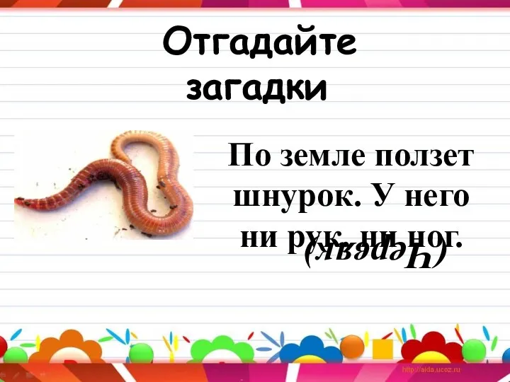 Отгадайте загадки По земле ползет шнурок. У него ни рук, ни ног. (Червяк)