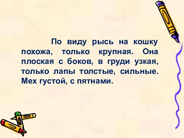 По виду рысь на кошку похожа, только крупная. Она плоская