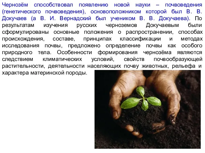 Чернозём способствовал появлению новой науки – почвоведения (генетического почвоведения), основоположником