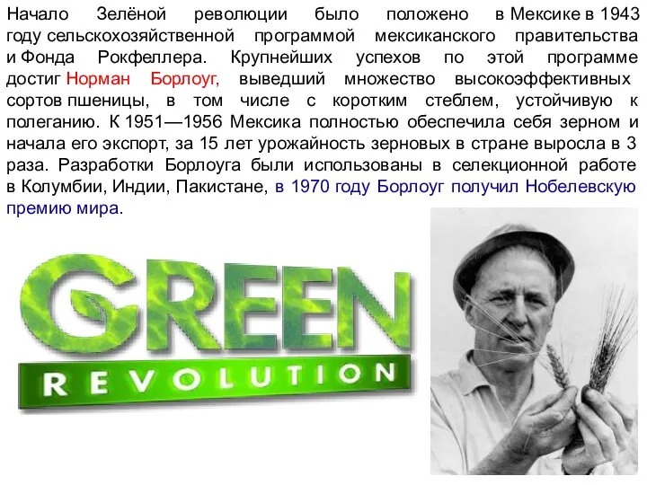 Начало Зелёной революции было положено в Мексике в 1943 году