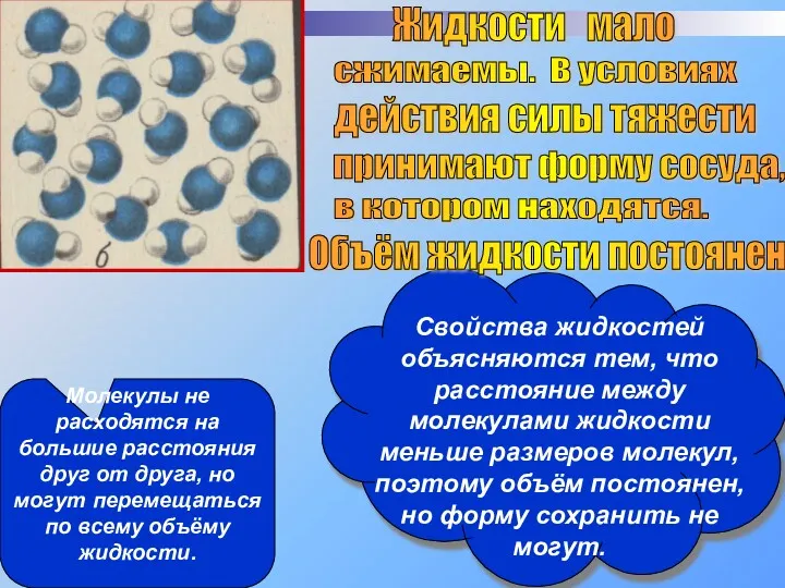 Жидкости мало сжимаемы. В условиях действия силы тяжести принимают форму