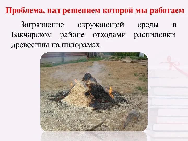 Проблема, над решением которой мы работаем Загрязнение окружающей среды в Бакчарском районе отходами