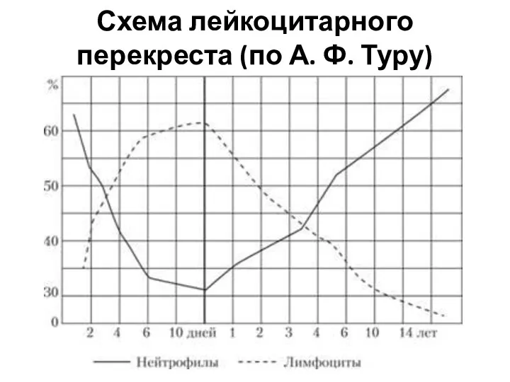 Схема лейкоцитарного перекреста (по А. Ф. Туру)