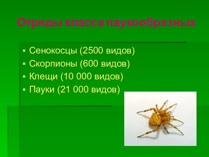 Отряды класса паукообразных Сенокосцы (2500 видов) Скорпионы (600 видов) Клещи
