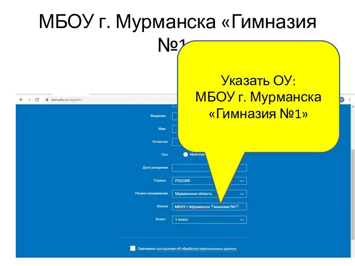 МБОУ г. Мурманска «Гимназия №1» Указать ОУ: МБОУ г. Мурманска «Гимназия №1»