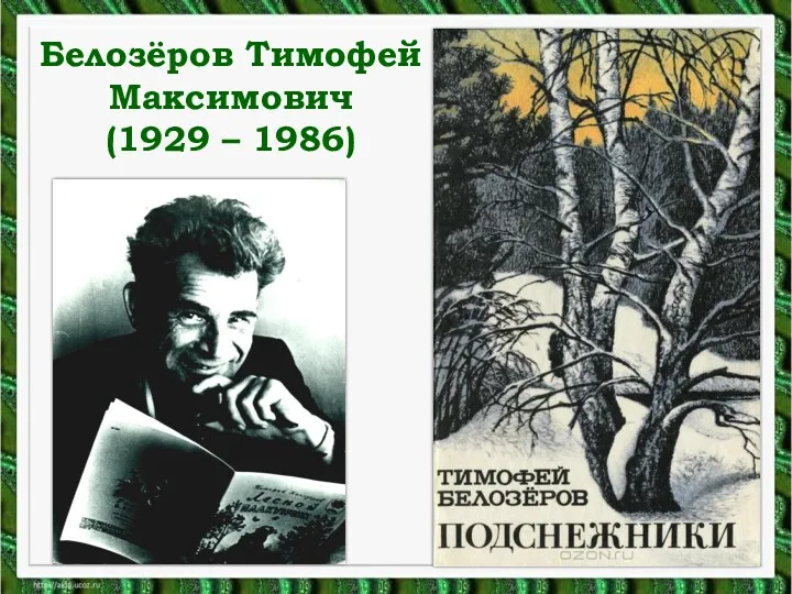Белозёров Тимофей Максимович (1929 – 1986)