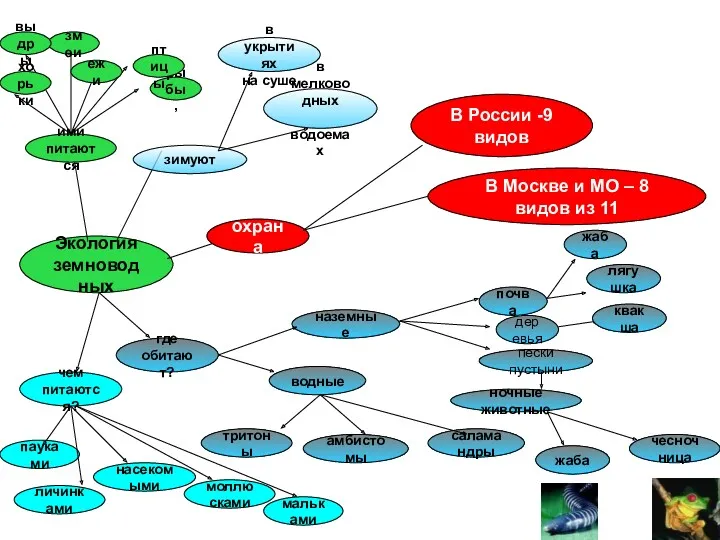 Экология земноводных где обитают? наземные водные деревья пески пустыни почва