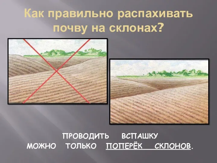 Как правильно распахивать почву на склонах? ПРОВОДИТЬ ВСПАШКУ МОЖНО ТОЛЬКО ПОПЕРЁК СКЛОНОВ.