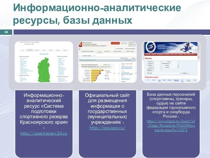 Информационно-аналитические ресурсы, базы данных