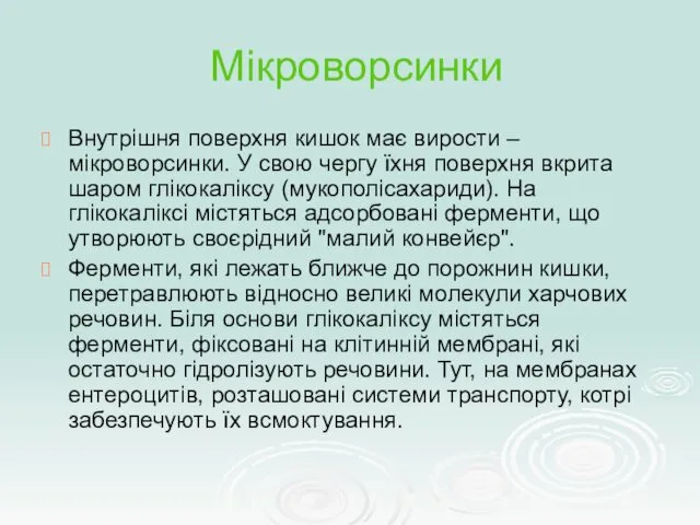 Мікроворсинки Внутрішня поверхня кишок має вирости – мікроворсинки. У свою