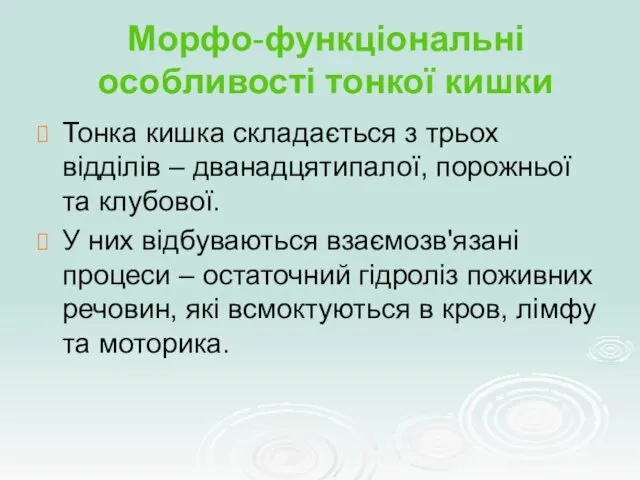 Морфо-функціональні особливості тонкої кишки Тонка кишка складається з трьох відділів