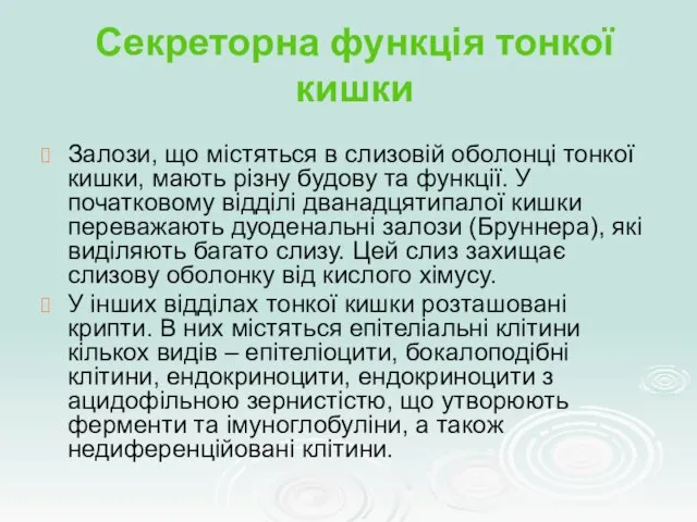 Секреторна функція тонкої кишки Залози, що містяться в слизовій оболонці