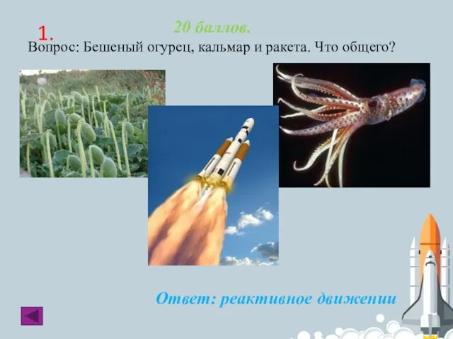 1. 20 баллов. Вопрос: Бешеный огурец, кальмар и ракета. Что общего? Ответ: реактивное движении