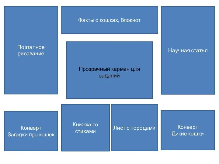 Факты о кошках, блокнот Поэтапное рисование Научная статья Конверт Загадки