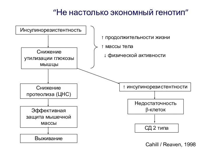 “Не настолько экономный генотип” Выживание Эффективная защита мышечной массы Снижение